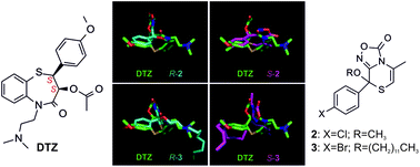 Graphical abstract: Absolute configuration and biological profile of two thiazinooxadiazol-3-ones with L-type calcium channel activity: a study of the structural effects