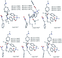 Graphical abstract: The roles of benzoic acid and water on the Michael reactions of pentanal and nitrostyrene catalyzed by diarylprolinol silyl ether