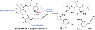 Graphical abstract: Total synthesis of the proposed structure of cyclic hexadepsipeptide veraguamide A