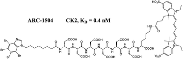 Graphical abstract: A subnanomolar fluorescent probe for protein kinase CK2 interaction studies