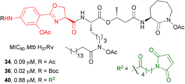 Graphical abstract: Syntheses of mycobactin analogs as potent and selective inhibitors of Mycobacterium tuberculosis