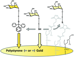 Graphical abstract: Dual purpose S-trityl-linkers for glycoarray fabrication on both polystyrene and gold