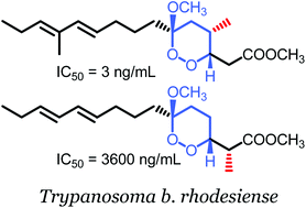 Graphical abstract: Manadoperoxides, a new class of potent antitrypanosomal agents of marine origin