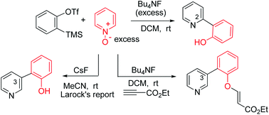 Graphical abstract: Regioselective synthesis of 2-(2-hydroxyaryl)pyridines from the reactions of benzynes with pyridine N-oxides