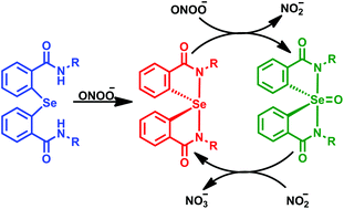 Graphical abstract: Spirodiazaselenuranes: synthesis, structure and antioxidant activity