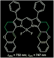Graphical abstract: A NIR BODIPY dye bearing 3,4,4a-trihydroxanthene moieties