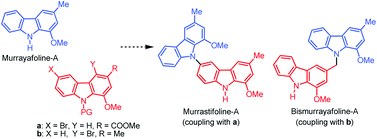 Graphical abstract: Novel approach to biscarbazole alkaloids via Ullmann coupling – synthesis of murrastifoline-A and bismurrayafoline-A