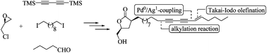 Graphical abstract: First total synthesis of Debilisone C