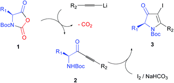 Graphical abstract: Preparation of enantioenriched iodinated pyrrolinones by iodocyclization of α-amino-ynones