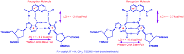 Graphical abstract: 1,8-Naphthyridine-2,7-diamine: a potential universal reader of Watson–Crick base pairs for DNA sequencing by electron tunneling