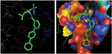 Graphical abstract: Highly selective azadipeptide nitrile inhibitors for cathepsin K: design, synthesis and activity assays