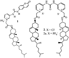 Graphical abstract: Cholesterol appended pyridinium ureas: a case of gel making and breaking for selective visual readout of F−