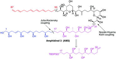 Graphical abstract: Diastereoselective synthesis of the C17–C30 fragment of amphidinol 3