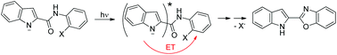 Graphical abstract: Photochemical and photophysical behavior of indolyl anions in photostimulated intramolecular arylation reactions