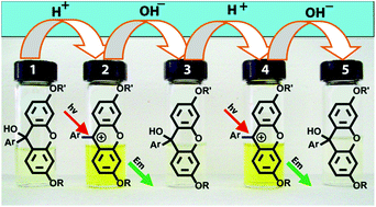 Graphical abstract: 9-Aryl-9-xanthenols: a convenient platform for the design of fluorimetric and colorimetric pH indicators