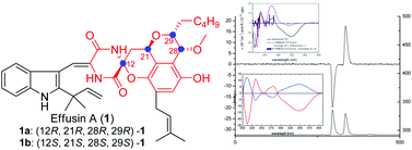 Graphical abstract: Diketopiperazine alkaloids from a mangrove rhizosphere soil derived fungus Aspergillus effuses H1-1