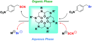 Graphical abstract: Cyclopeptoids: a novel class of phase-transfer catalysts