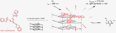 Graphical abstract: Light up G-quadruplex DNA with a [2.2.2]heptamethinecyanine dye