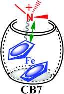 Graphical abstract: Probing the tolerance of cucurbit[7]uril inclusion complexes to small structural changes in the guest