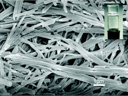 Graphical abstract: Novel organic gelators based on pentose derivatized diosgenyl saponins
