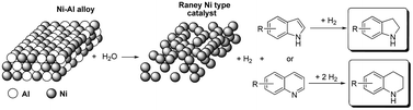 Graphical abstract: Selective reduction of condensed N-heterocycles using water as a solvent and a hydrogen source