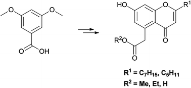 Graphical abstract: First syntheses of the biologically active fungal metabolites pestalotiopsones A, B, C and F