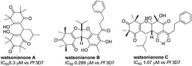 Graphical abstract: Watsonianone A–C, anti-plasmodial β-triketones from the Australian tree, Corymbia watsoniana