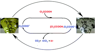 Graphical abstract: Self-decarboxylation of trichloroacetic acid redox catalyzed by trichloroacetate ions in acetonitrile solutions