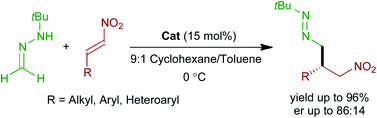 Graphical abstract: Synthesis of enantioenriched azo compounds: organocatalytic Michael addition of formaldehyde N-tert-butyl hydrazone to nitroalkenes