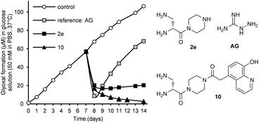 Graphical abstract: New 2,3-diaminopropionic acid inhibitors of AGE and ALE formation