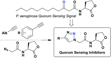 Graphical abstract: Synthesis and biological evaluation of triazole-containing N-acyl homoserine lactones as quorum sensing modulators
