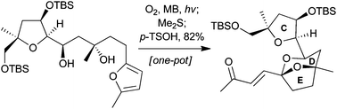 Graphical abstract: Using singlet oxygen to synthesise the CDE-ring system of the pectenotoxins