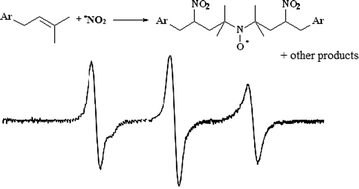 Graphical abstract: Reactions of nitric oxide and nitrogen dioxide with coenzyme Q: involvement of the isoprenic chain