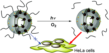 Graphical abstract: A photo-triggerable drug carrier based on cleavage of PEG lipids by photosensitiser-generated reactive singlet oxygen