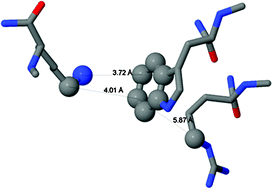 Graphical abstract: π-Cation interactions as the origin of the weak absorption at 532 nm observed in tryptophan-containing polypeptides