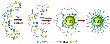 Graphical abstract: Controlled surface trap state photoluminescence from CdS QDs impregnated in poly(methyl methacrylate)
