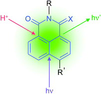 Graphical abstract: Structural effects on the pH-dependent fluorescence of naphthalenic derivatives and consequences for sensing/switching