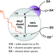 Graphical abstract: Photocatalytic activity of NH4F-doped TiO2 modified by noble metal nanoparticle deposition