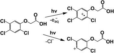 Graphical abstract: A mechanistic study of the photodegradation of herbicide 2,4,5-trichlorophenoxyacetic acid in aqueous solution