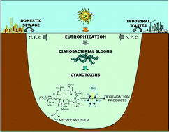 Graphical abstract: Microcystin-LR degradation by solar photo-Fenton, UV-A/photo-Fenton and UV-C/H2O2: a comparative study