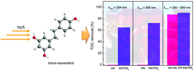 Graphical abstract: Photochemical and photocatalytic degradation of trans-resveratrol