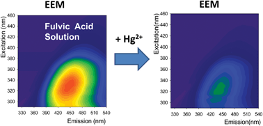 Graphical abstract: Evaluation of the Hg2+ binding potential of fulvic acids from fluorescence excitation–emission matrices