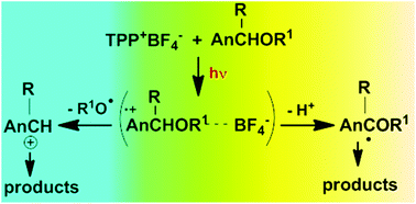 Graphical abstract: Competition of C–H and C–O fragmentation in substituted p-methoxybenzyl ether radical cations generated by photosensitized oxidation