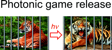 Graphical abstract: Photoremovable protecting groups: development and applications