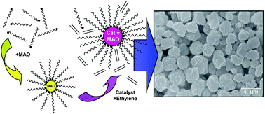 Graphical abstract: Control of morphology in olefin polymerization catalyzed by nickel diimine complexes encapsulated into polybutadiene based support