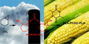 Graphical abstract: Triblock copolymers from lactide and telechelic poly(cyclohexene carbonate)