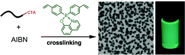 Graphical abstract: Organoboron star polymersvia arm-first RAFT polymerization: synthesis, luminescent behavior, and aqueous self-assembly