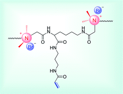 Graphical abstract: Synthesis and antibacterial characterization of gemini surfactant monomers and copolymers