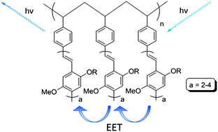 Graphical abstract: Electronic energy transfer in pendant MEH-PPV polymers