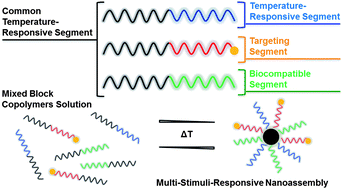 Graphical abstract: A ‘smart’ approach towards the formation of multifunctional nano-assemblies by simple mixing of block copolymers having a common temperature sensitive segment